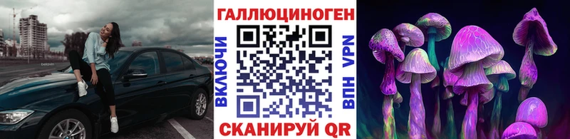 Псилоцибиновые грибы GOLDEN TEACHER  Кирово-Чепецк 